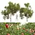 Pomegranate Plant 3D Models Set 3D model small image 1