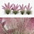 Pink Muhly Grass 3D Model 3D model small image 1