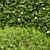 Versatile Topiary Scatter Bushes 3D model small image 3