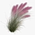 Pink Muhly Grass 3D Model 3D model small image 4