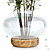 Eucalyptus Bouquet with Glass Vase 3D model small image 4