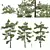 Detailed Pine Tree 3D Models 3D model small image 1