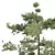 Detailed Pine Tree 3D Models 3D model small image 2