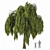 Detailed Weeping Willow Tree Pair 3D model small image 1