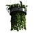 Title: Metal Hanging Indoor Plant 3D model small image 3