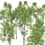 Detailed Fagus Sylvatica Tree Model 3D model small image 3