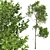 Forest Tree 3D Model Set 3D model small image 2