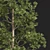 Forest Tree 3D Model Set 3D model small image 3