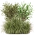 Outdoor Bush Plant Models Set 3D model small image 1