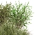 Outdoor Bush Plant Models Set 3D model small image 4