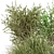 Outdoor Bush Plant Models Set 3D model small image 5