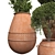 Botanical Beauties in Clay Pots 3D model small image 2