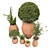 Botanical Beauties in Clay Pots 3D model small image 6