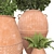 Botanical Beauties in Clay Pots 3D model small image 15