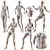 Modern Female Mannequin Collection Set 3D model small image 1