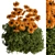 Sunshine Creeper Bush Set 3D model small image 1