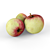 Ruby Red Delicious Apples 3D model small image 3