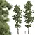 Detailed Pinus Palustris Tree Model 3D model small image 1