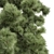 Detailed Pinus Palustris Tree Model 3D model small image 2