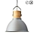 FRIEDA Gray Metal Pendant Light 3D model small image 1