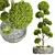 Nerve Plant 3D Model Pruned 3D model small image 1