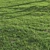 High-Quality Bermuda Grass Render Kit 3D model small image 6