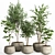 Modern Concrete Pot Indoor Plants 3D model small image 1