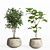 Modern Concrete Pot Indoor Plants 3D model small image 3