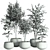 Modern Concrete Pot Indoor Plants 3D model small image 4