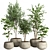 Modern Concrete Pot Indoor Plants 3D model small image 5