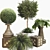 Tropical Outdoor Plant Collection 3D model small image 1