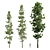 Exotic Fern and Pine Trees 3D model small image 1