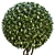 Precision Outdoor Shrub Plants Set 3D model small image 7