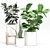 Green Oasis Plant Set 3D model small image 1