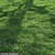 High-Quality Bermuda Grass Package 3D model small image 1