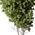 Tree in Pot: Outdoor Plant 3D model small image 2