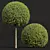 Ficus Concinna Bonsai Pruned Set 3D model small image 3