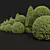 Ficus Concinna Bonsai Pruned Set 3D model small image 4