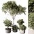 Corona Indoor Plant Set 439 3D model small image 1