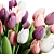 Elegant Tulips Bouquet 3D Model 3D model small image 5