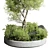 Garden Pot Plant Collection Outdoor 3D model small image 2