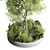 Garden Pot Plant Collection Outdoor 3D model small image 6