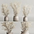 Modern Dry Indoor Plant Set 3D model small image 3