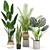 Stylish Indoor Plants Set 03 3D model small image 1