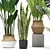 Stylish Indoor Plants Set 03 3D model small image 3