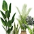 Stylish Indoor Plants Set 03 3D model small image 4