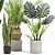 Stylish Indoor Plants Set 03 3D model small image 5