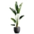 Tropical Beauty: Strelitzia Nicolai Pot 3D model small image 1