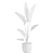 Tropical Beauty: Strelitzia Nicolai Pot 3D model small image 3