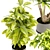 Premium Indoor Plant Collection 3D 3D model small image 4